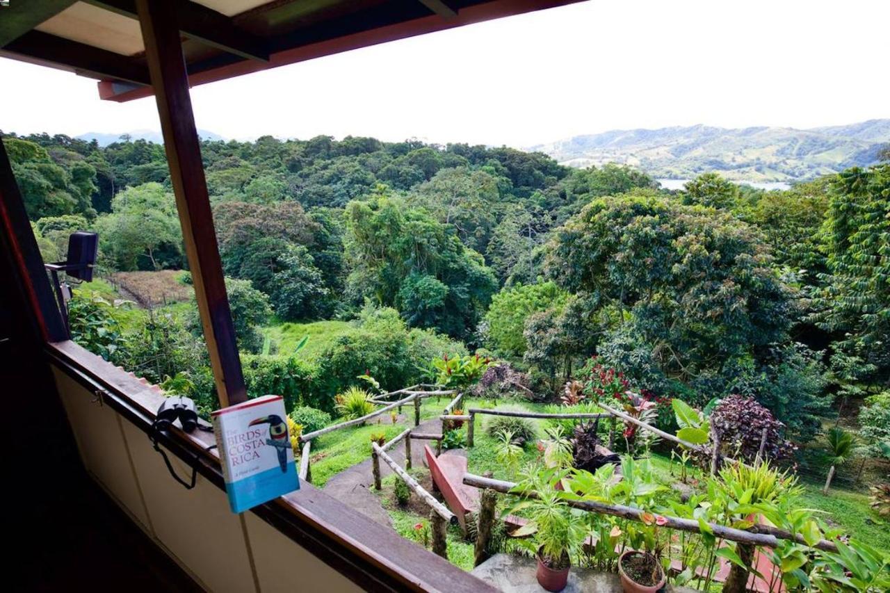 Toucan Lane Hotel And Restaurant Nuevo Arenal Buitenkant foto