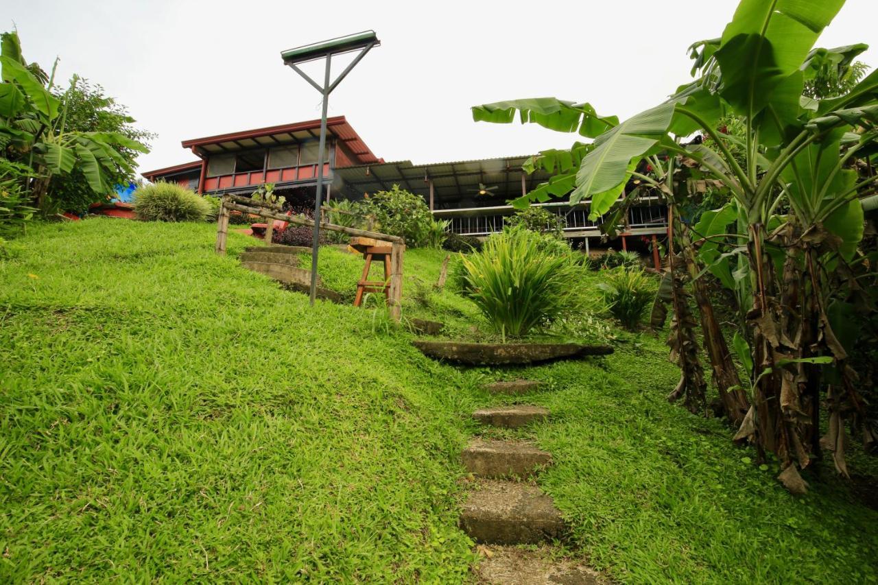 Toucan Lane Hotel And Restaurant Nuevo Arenal Buitenkant foto